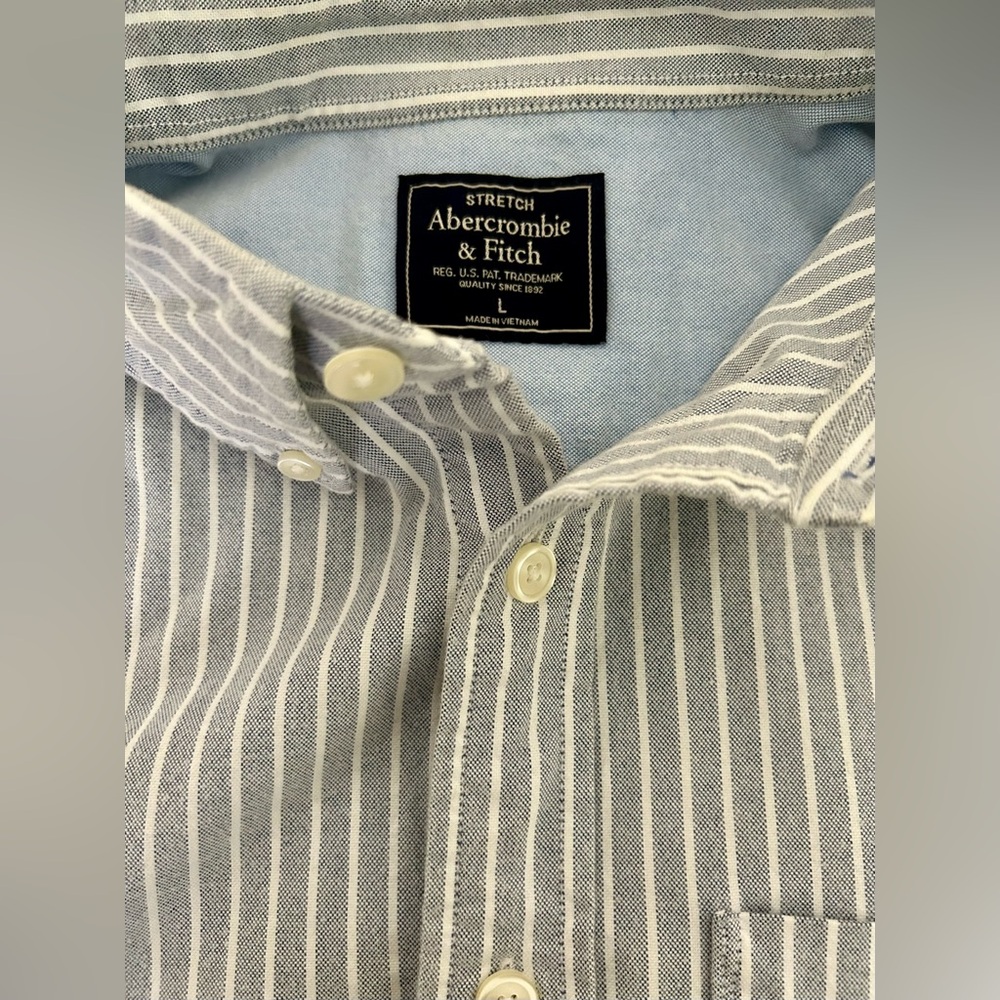 Abercrombie & Fitch LOT 2 Striped Oxford Button-Down Shirt - Large - Blue/Brown
